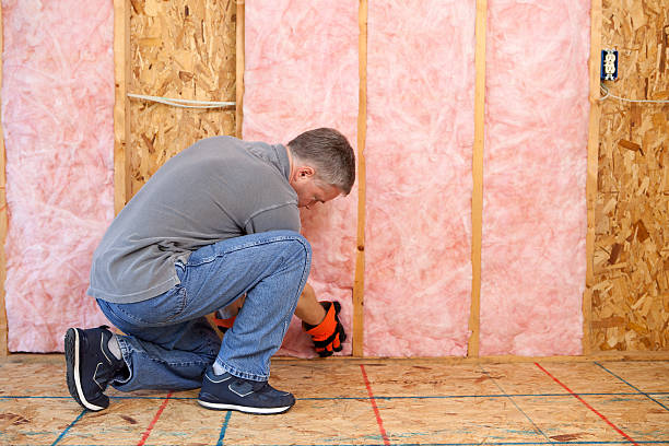 Types of Insulation We Offer in Helena West Helena, AR