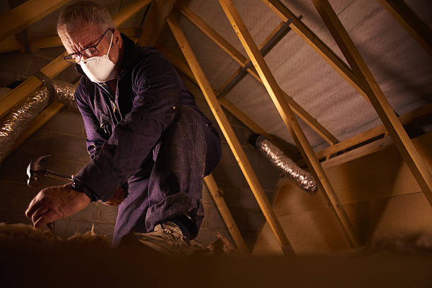 Best Commercial Insulation in Helena West Helena, AR